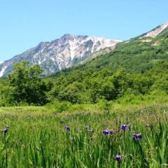 Hotel Abest Happo Aldea Хакуба фото 10