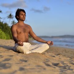 Отель Weligama Bay Marriott Resort & Spa с домашними животными