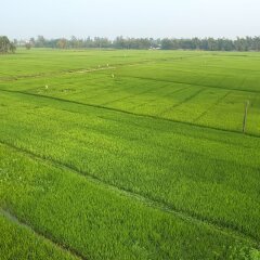 Отель La Siesta Hoi An Resort & Spa спортивное сооружение