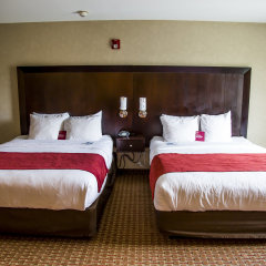 Comfort Suites Bentonville - Rogers in Bentonville, United States of America from 147$, photos, reviews - zenhotels.com guestroom
