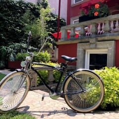 Отель Pug Seal B&B Coyoacan Мексика, Мехико - отзывы, цены и фото номеров - забронировать отель Pug Seal B&B Coyoacan онлайн фото 9