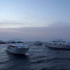 Отель New DaVinci Beach & Diving Resort