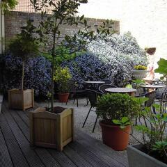 Hans Memling Hotel фото 7