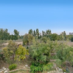 Отель Holiday Inn Beijing Shijingshan Parkview Пекин балкон