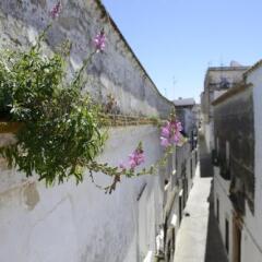 Отель Casa Rural Las Cadenas del Cananeo фото 2