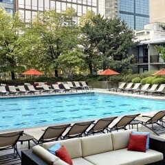 Отель Sheraton Centre Toronto Hotel Канада, Торонто - отзывы, цены и фото номеров - забронировать отель Sheraton Centre Toronto Hotel онлайн бассейн фото 2