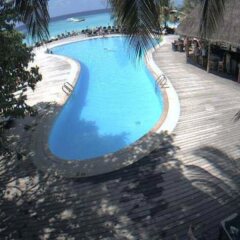Отель Kuredu Island Resort с домашними животными
