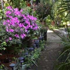 Отель Casa de las Flores Мексика, Тлакуепакуе - отзывы, цены и фото номеров - забронировать отель Casa de las Flores онлайн
