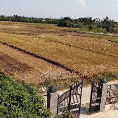 Отель The Field Homestay Hoi An детские мероприятия