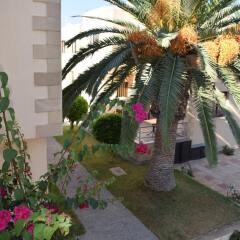 Отель Dimma Seaside Houses