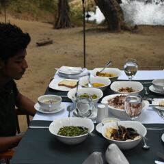 Отель Mahoora Tented Safari Camp - Kumana Шри-Ланка, Яла - отзывы, цены и фото номеров - забронировать отель Mahoora Tented Safari Camp - Kumana онлайн питание фото 3