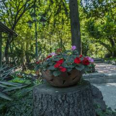 Отель Toscano Грузия, Тбилиси - отзывы, цены и фото номеров - забронировать отель Toscano онлайн фото 14