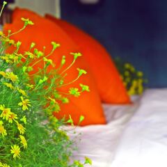 Отель Home Farm Villa Hoi An детские мероприятия