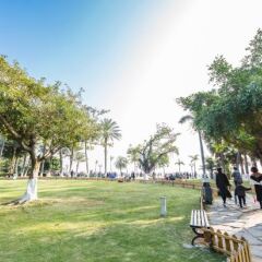 Отель Linhai Guest House Gulangyu Island Китай, Сямынь - отзывы, цены и фото номеров - забронировать отель Linhai Guest House Gulangyu Island онлайн помещение для мероприятий