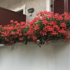 Отель Garnì Villa Betty Меран балкон