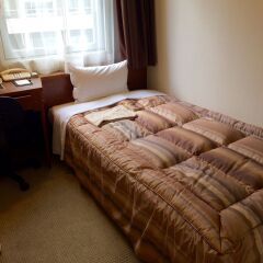Center Hotel Tokyo комната для гостей