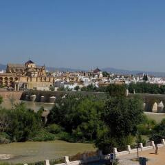 Отель NH Córdoba Guadalquivir Испания, Кордова - 2 отзыва об отеле, цены и фото номеров - забронировать отель NH Córdoba Guadalquivir онлайн балкон
