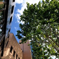 Отель Aemilia Hotel Bologna Италия, Болонья - 1 отзыв об отеле, цены и фото номеров - забронировать отель Aemilia Hotel Bologna онлайн пляж
