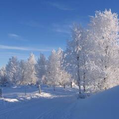 Отель Kamben Høyfjellshotell фото 3