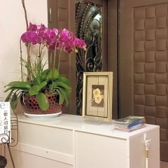 Отель Travel Bird Bed and Breakfast удобства в номере
