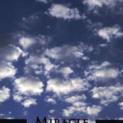 Miracle Istanbul Asia Турция, Стамбул - 1 отзыв об отеле, цены и фото номеров - забронировать отель Miracle Istanbul Asia онлайн фото 8