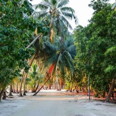 Отель Maldives Seashine Guesthouse пляж фото 2