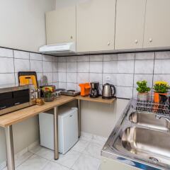 Отель Aris Athens Suites Греция, Афины - отзывы, цены и фото номеров - забронировать отель Aris Athens Suites онлайн фото 23