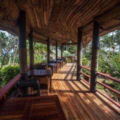 Отель Maravu Taveuni Lodge Фиджи, Остров Тавеуни - отзывы, цены и фото номеров - забронировать отель Maravu Taveuni Lodge онлайн фото 5