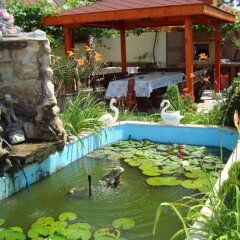 Отель Guest House Alberto Болгария, Равда - отзывы, цены и фото номеров - забронировать отель Guest House Alberto онлайн бассейн