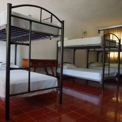 Отель Hostel El Corazon Мексика, Канкун - 1 отзыв об отеле, цены и фото номеров - забронировать отель Hostel El Corazon онлайн детские мероприятия фото 2