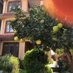 Отель Kantipur Temple Homestay Непал, Катманду - отзывы, цены и фото номеров - забронировать отель Kantipur Temple Homestay онлайн фото 3