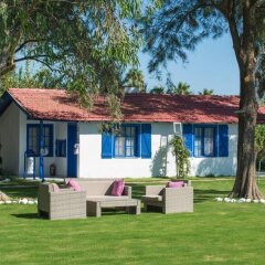 Отель Mavi Zeytin Butik Otel фото 3