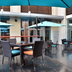 Отель Novotel Dubai Deira City Centre гостиничный бар фото 3