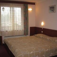 Panorama Family Hotel комната для гостей фото 3