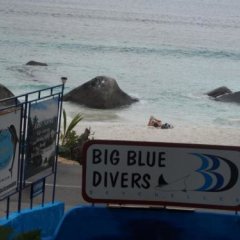 Отель Divers Lodge Guest House Сейшельские острова, Остров Маэ - отзывы, цены и фото номеров - забронировать отель Divers Lodge Guest House онлайн фото 9