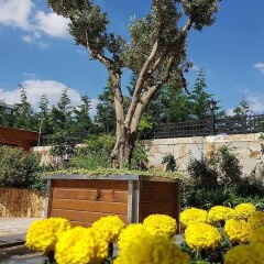 Sarajevo Suit Hotel Турция, Гебзе - отзывы, цены и фото номеров - забронировать отель Sarajevo Suit Hotel онлайн балкон