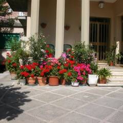 Отель Albergo Villa Canapini Кьянчиано Терме