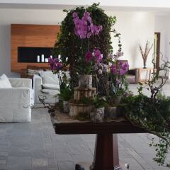 Amphora Hotel & Suites фото 4