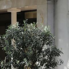 Отель Best Western Au Trocadero Франция, Париж - 1 отзыв об отеле, цены и фото номеров - забронировать отель Best Western Au Trocadero онлайн