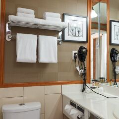 Отель The Glenmore Inn & Convention Centre Канада, Калгари - отзывы, цены и фото номеров - забронировать отель The Glenmore Inn & Convention Centre онлайн ванная фото 2
