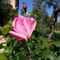Отель I Giardini Di Margius Италия, Итри - отзывы, цены и фото номеров - забронировать отель I Giardini Di Margius онлайн фото 13