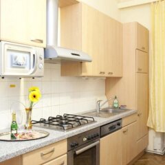 Отель Your sunny, central and quiet home Австрия, Вена - отзывы, цены и фото номеров - забронировать отель Your sunny, central and quiet home онлайн в номере фото 2
