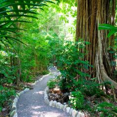 Отель Hermosa Cove Villa Resort & Suites фото 10