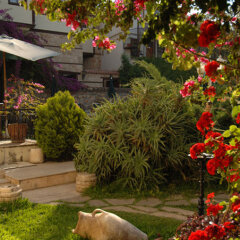 Tuvana Hotel - Special Class Турция, Анталья - 3 отзыва об отеле, цены и фото номеров - забронировать отель Tuvana Hotel - Special Class онлайн фото 12