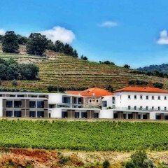 Отель Douro Scala Мезан-Фриу фото 4