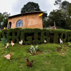 Отель Cabañas y Suites Sergia Torres детские мероприятия фото 2
