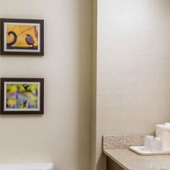 Comfort Inn in Lovettsville, United States of America from 102$, photos, reviews - zenhotels.com bathroom photo 2