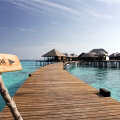 Отель Coco Bodu Hithi фото 3