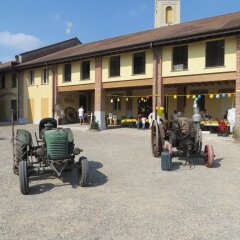 Отель Agriturismo Le Risaie Базильо фото 3