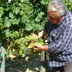 Отель Farmhouse With Pool and Large Garden, 50 Acres of Vineyards, Wine Tasting Ареццо фото 24